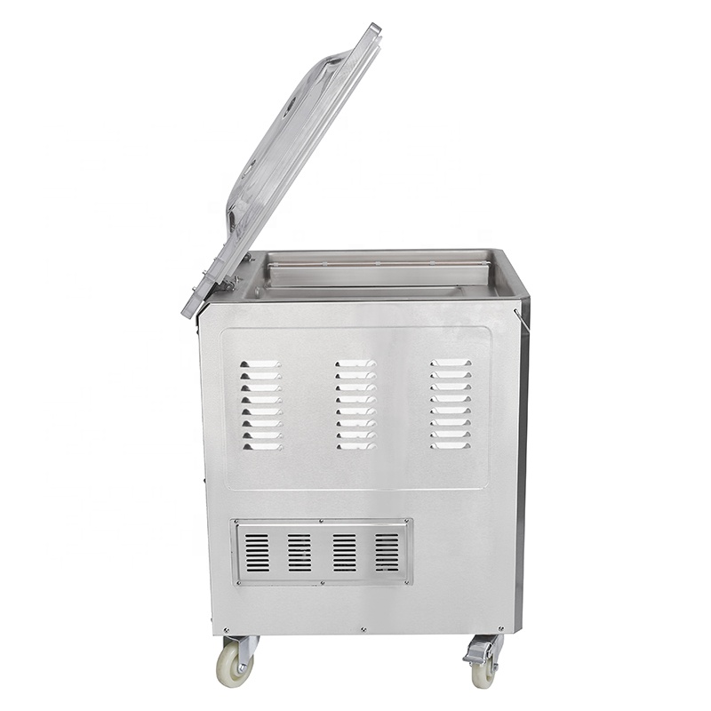 Fubei DZ-500 2 Evacuum Sealer  - Food Vacuum Sealer avis et prix